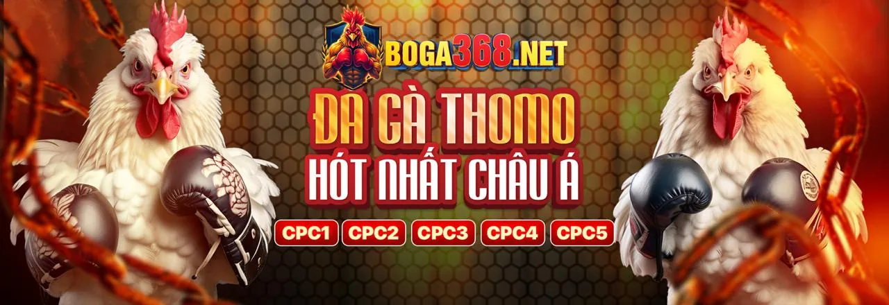 Hình ảnh chính 789bets – Nền tảng cá cược trực tuyến hàng đầu
